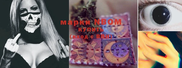 PSILOCYBIN Пестово