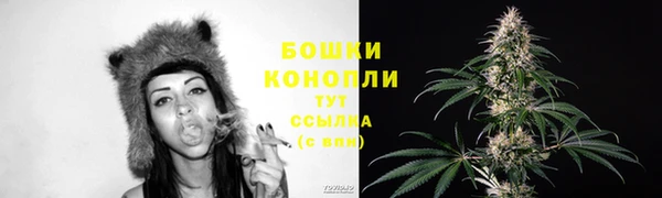 марки lsd Переславль-Залесский