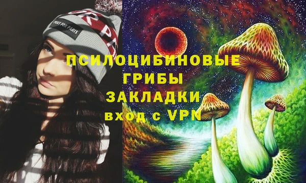 марки lsd Переславль-Залесский