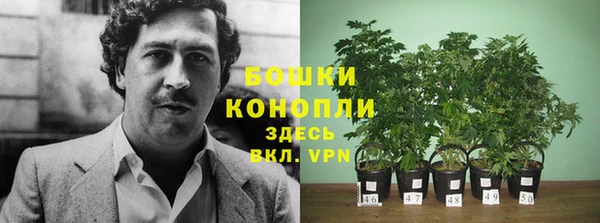 марки lsd Переславль-Залесский