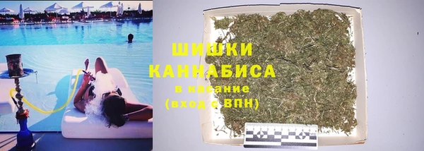 PSILOCYBIN Пестово