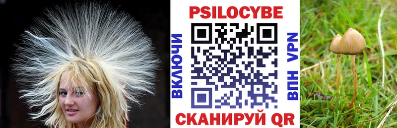 Галлюциногенные грибы ЛСД наркота Удомля