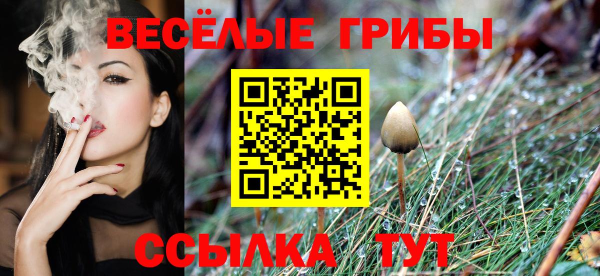 Псилоцибиновые грибы Magic Shrooms Удомля