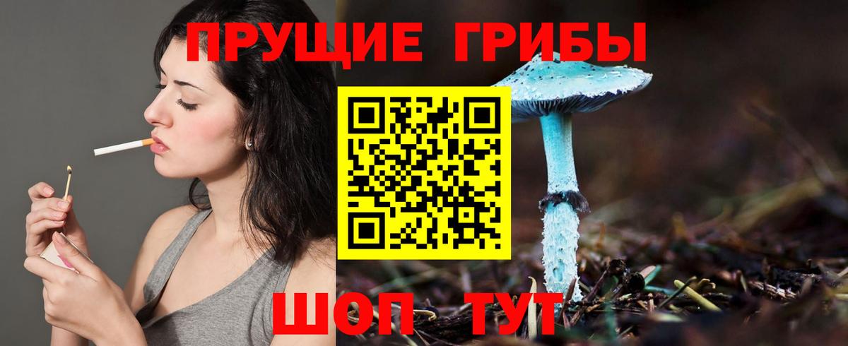 Удомля  Псилоцибиновые грибы GOLDEN TEACHER  закладки  Вход с VPN 